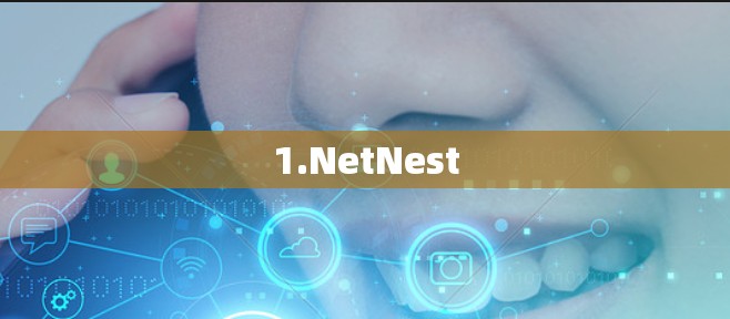 1.NetNest