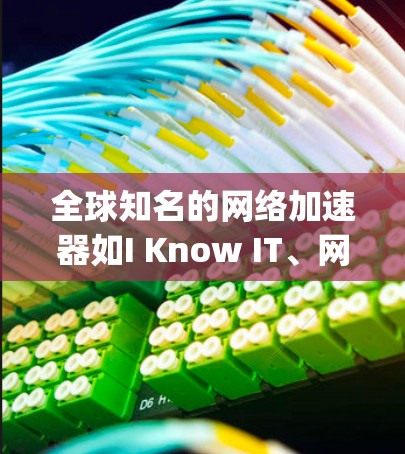 全球知名的网络加速器如I Know IT、网联网、NextGen、Netstat、Sprint和Lock Up各有其独特的功能和特点，适合不同需求的用户。以下是根据这些工具的特点总结的推荐