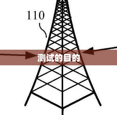 测试的目的