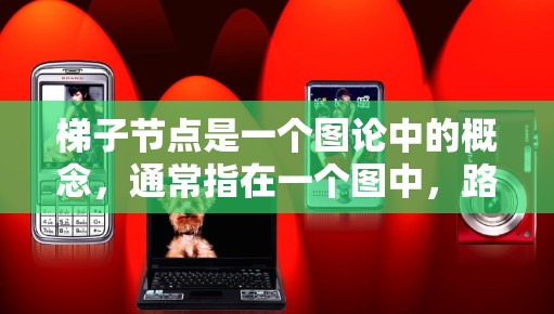 梯子节点是一个图论中的概念，通常指在一个图中，路径必须沿着特定的边或节点移动。具体来说，梯子节点可能指的是一种结构，类似于梯子的两个腿，路径在移动时只能跨过一个节点，类似于梯子的移动方式