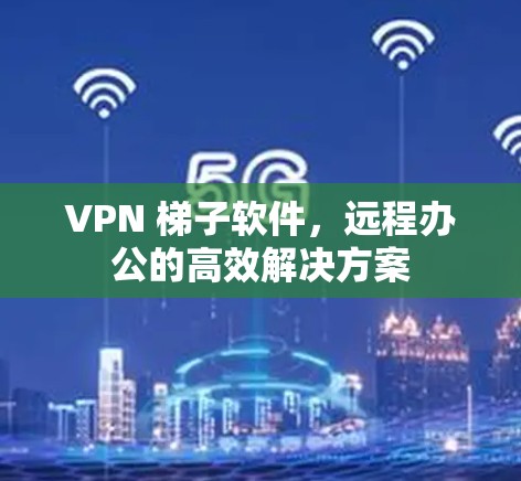 VPN 梯子软件，远程办公的高效解决方案