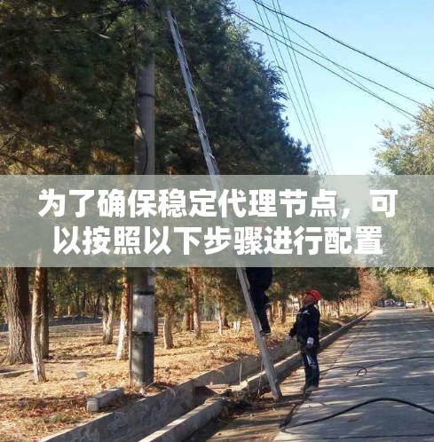 为了确保稳定代理节点，可以按照以下步骤进行配置和管理