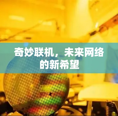 奇妙联机，未来网络的新希望