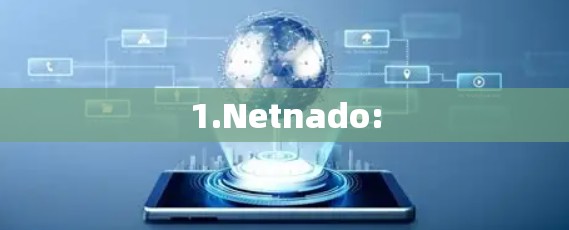 1.Netnado: