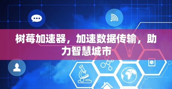 树莓加速器,加速数据传输,助力智慧城市 树莓加速器,加速数据传输,助力智慧城市