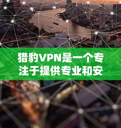 猎豹VPN是一个专注于提供专业和安全VPN服务的公司，专注于保护用户数据的安全性。以下是对猎豹VPN的详细介绍