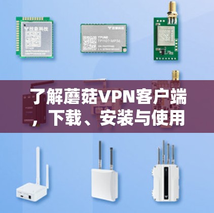 了解蘑菇VPN客户端，下载、安装与使用指南