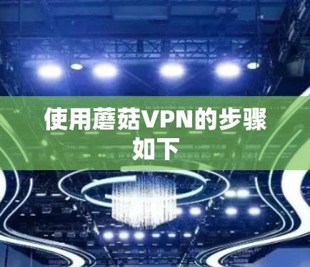 使用蘑菇VPN的步骤如下 使用蘑菇VPN的步骤如下