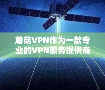 蘑菇VPN作为一款专业的VPN服务提供商，提供的服务包括稳定、安全、便捷的VPN体验。然而，用户可能遇到的一些常见问题可以通过以下步骤进行解决