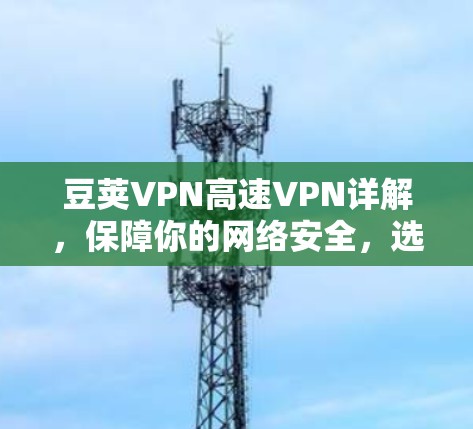 豆荚VPN高速VPN详解，保障你的网络安全，选择合适的方案很重要