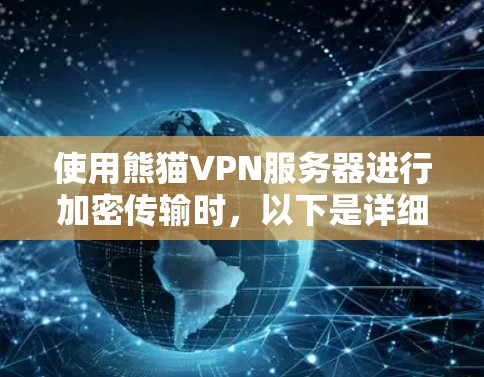 使用熊猫VPN服务器进行加密传输时，以下是详细的步骤指南