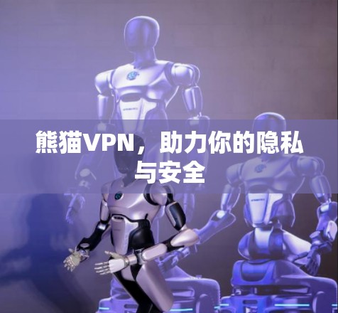 熊猫VPN，助力你的隐私与安全