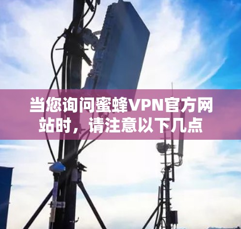 当您询问蜜蜂VPN官方网站时，请注意以下几点