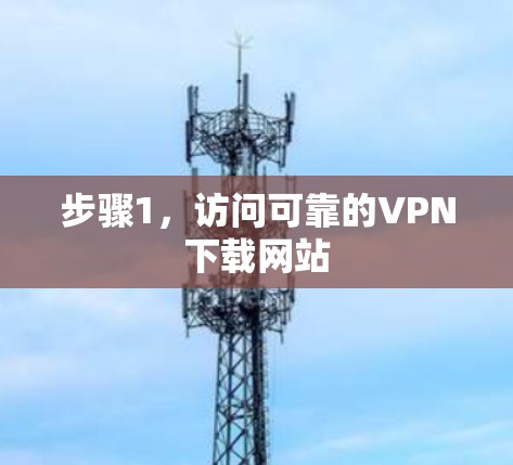 步骤1，访问可靠的VPN下载网站