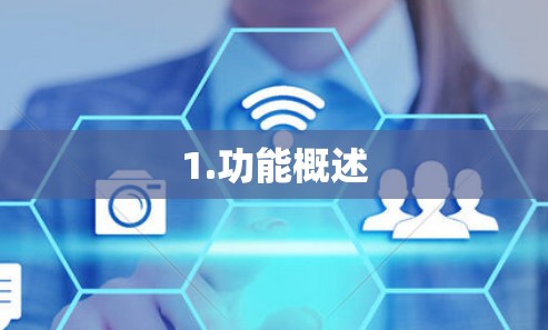 1.功能概述 1.功能概述