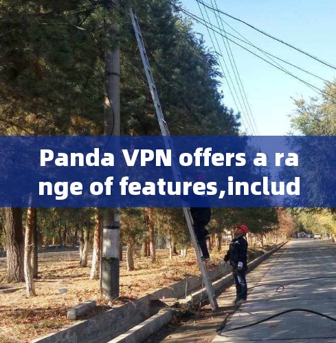 Panda VPN offers a range of features,including: