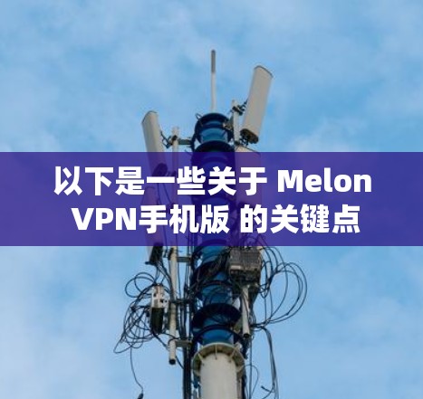 以下是一些关于 Melon VPN手机版 的关键点 以下是一些关于 Melon VPN手机版 的关键点