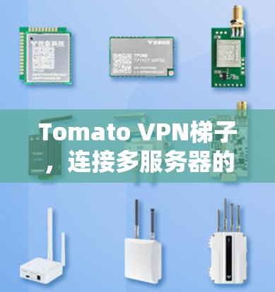 Tomato VPN梯子,连接多服务器的巧妙解决方案 Tomato VPN梯子,连接多服务器的巧妙解决方案