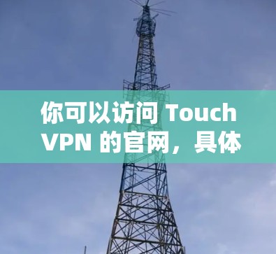 你可以访问 Touch VPN 的官网，具体步骤如下