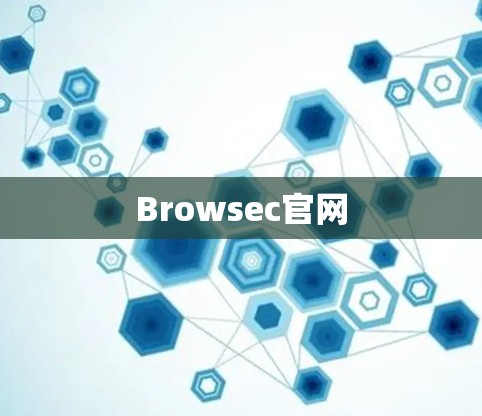 Browsec官网 Browsec官网