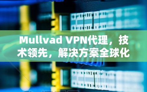 Mullvad VPN代理，技术领先，解决方案全球化