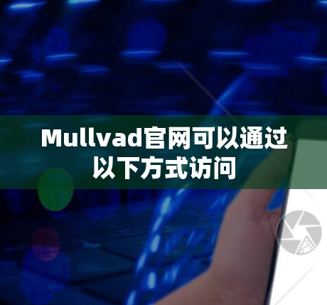 Mullvad官网可以通过以下方式访问