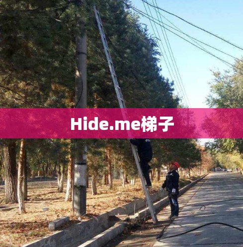 Hide.me梯子