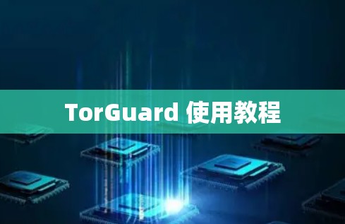 TorGuard 使用教程