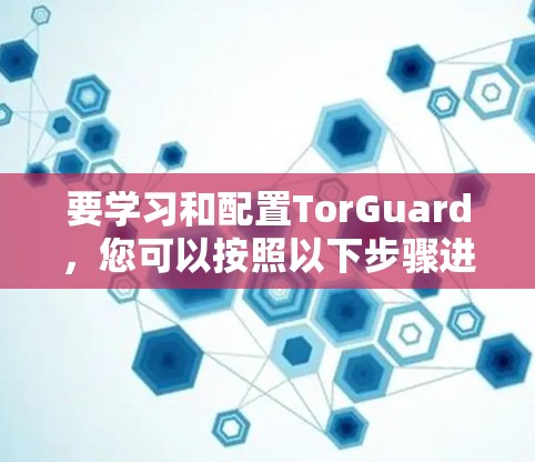 要学习和配置TorGuard，您可以按照以下步骤进行