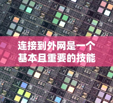 连接到外网是一个基本且重要的技能，尤其在需要访问互联网资源时。以下是一个系统化、分步骤的教程，帮助你成功连接到外网