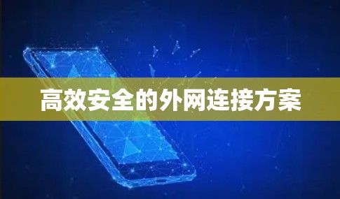 高效安全的外网连接方案