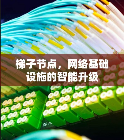 梯子节点，网络基础设施的智能升级