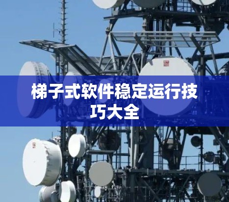 梯子式软件稳定运行技巧大全
