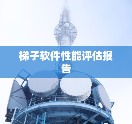 梯子软件性能评估报告