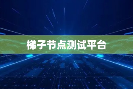 梯子节点测试平台 梯子节点测试平台