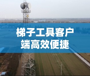 梯子工具客户端高效便捷