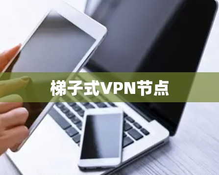 梯子式VPN节点