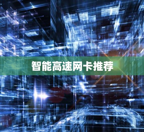 智能高速网卡推荐