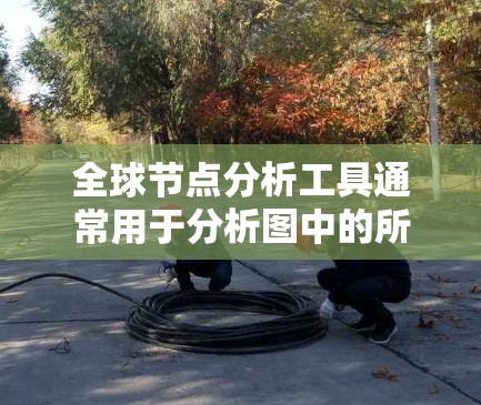 全球节点分析工具通常用于分析图中的所有节点（nodes）及其属性和作用。以下是一些常见的全球节点分析工具及其适用场景