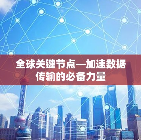 全球关键节点—加速数据传输的必备力量