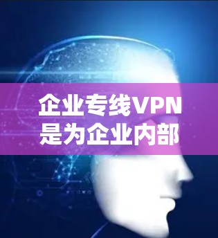 企业专线VPN是为企业内部提供安全网络连接的工具，通过加密技术和多点网络，确保企业内部数据的安全性和网络安全。以下是对企业专线VPN的详细分析和建议
