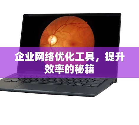 企业网络优化工具,提升效率的秘籍 企业网络优化工具,提升效率的秘籍