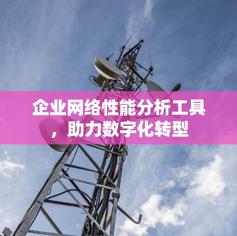 企业网络性能分析工具，助力数字化转型