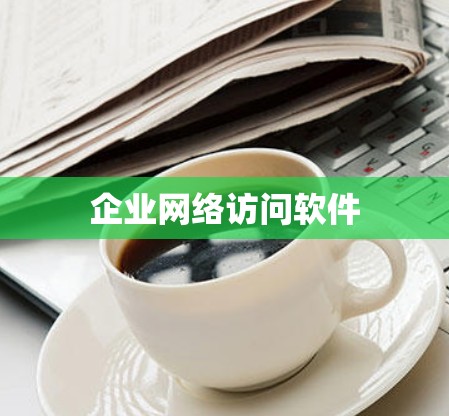 企业网络访问软件