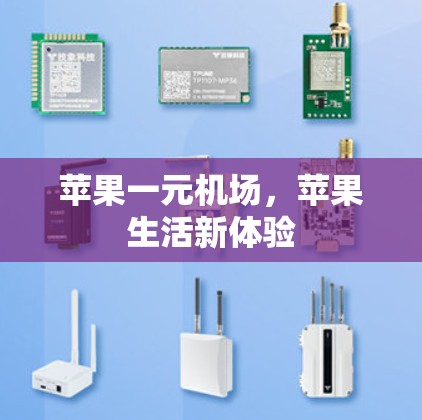 苹果一元机场，苹果生活新体验
