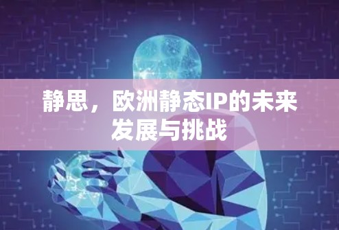 静思，欧洲静态IP的未来发展与挑战