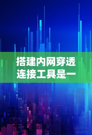 搭建内网穿透连接工具是一个系统工程，涉及多个技术领域。以下是对该过程的分步指南
