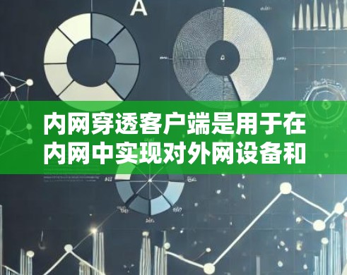 内网穿透客户端是用于在内网中实现对外网设备和服务的访问的客户端程序。它帮助开发者和管理员在内网中实现对外网的访问控制，确保安全性和权限的保护。以下是关于内网穿透客户端的详细信息