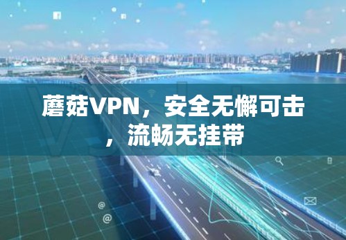 蘑菇VPN，安全无懈可击，流畅无挂带