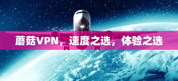 蘑菇VPN，速度之选，体验之选